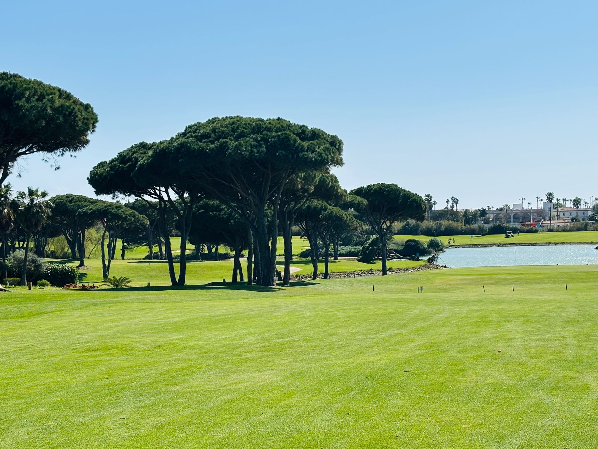 Golf andalusien3 1