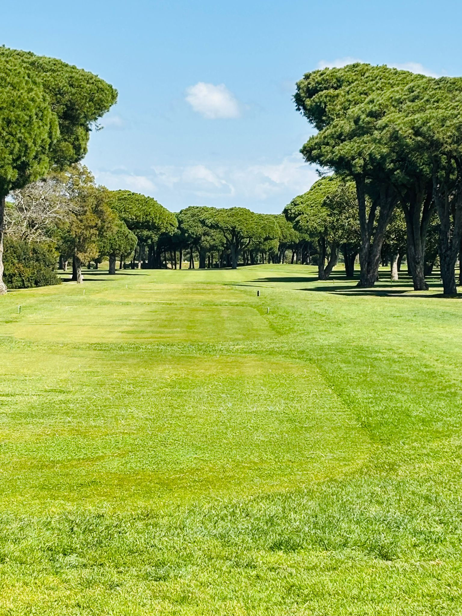Golf andalusien6