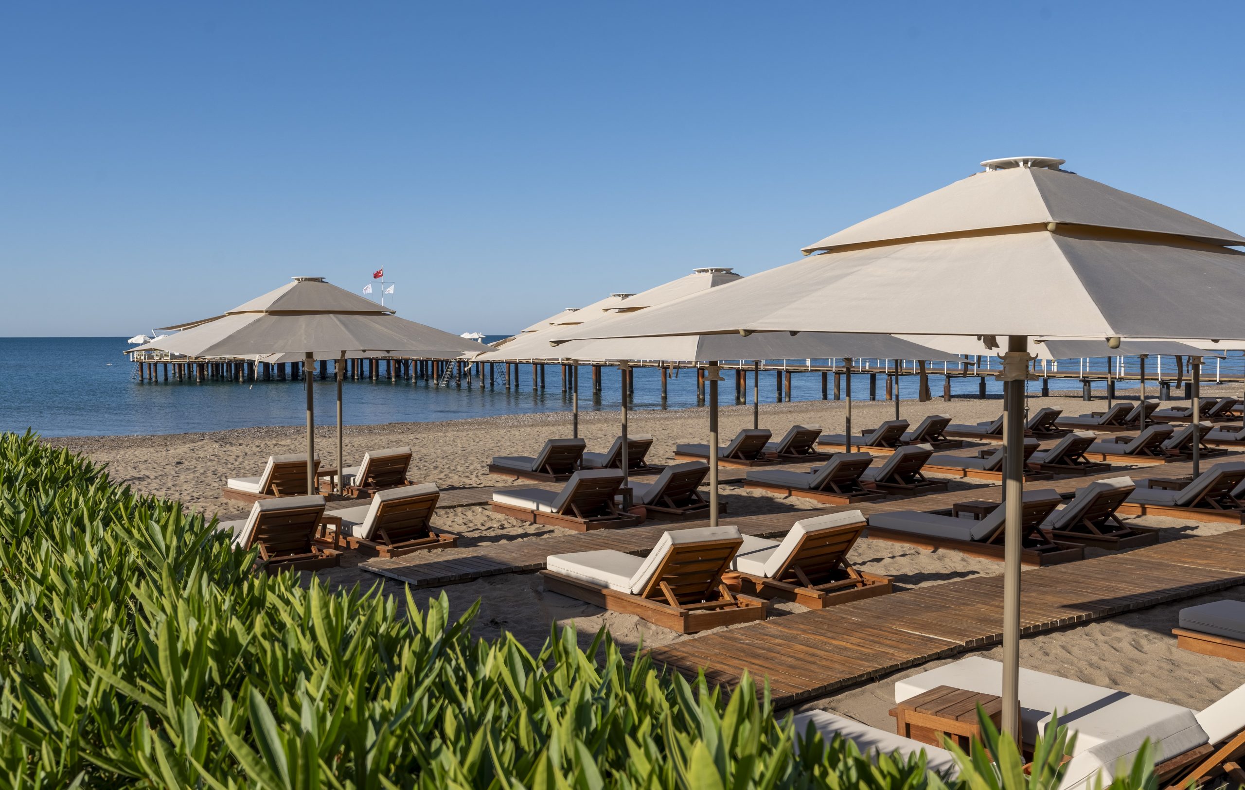 Hapag lloyd calista beach 7 scaled