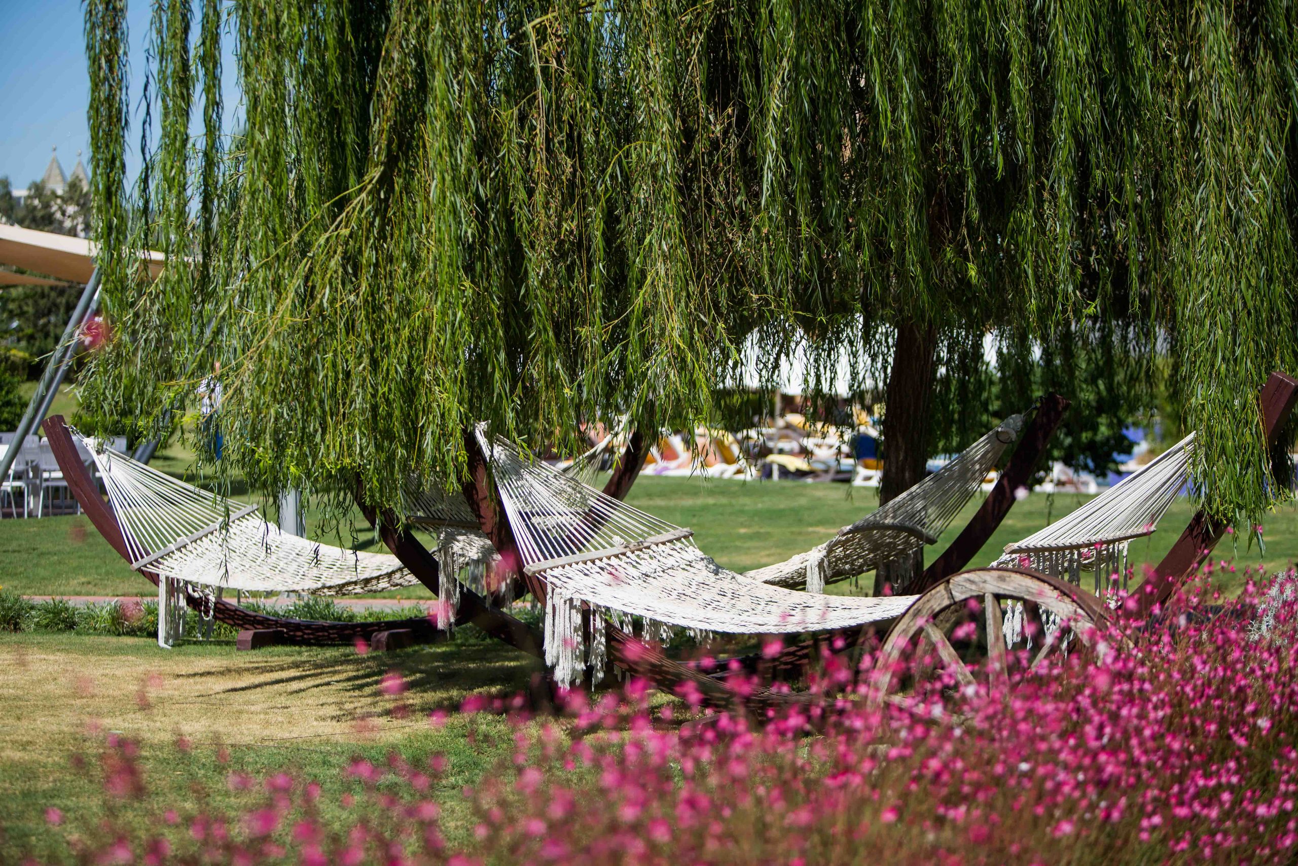 Hapag lloyd tui blue xanthe garten 1 scaled